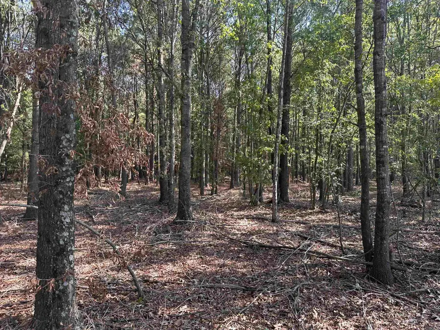 Address Withheld By Seller, McRae, AR 72102 - #3