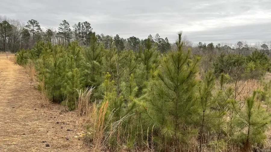 4684-4866 Ar-291, Prattsville, AR 72129 - #2