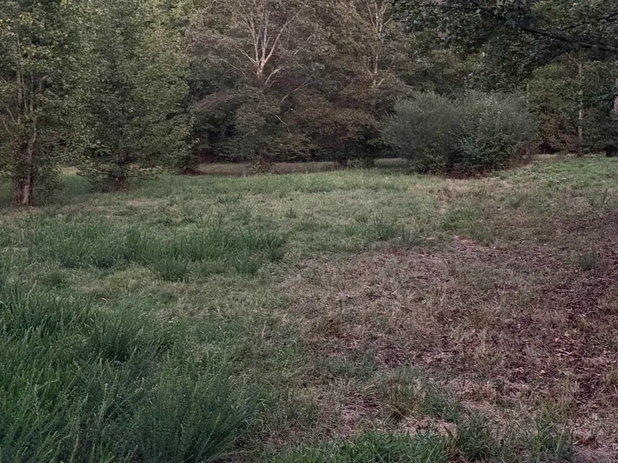 4110 Libby Road, Heber Springs, AR 72543 - #2