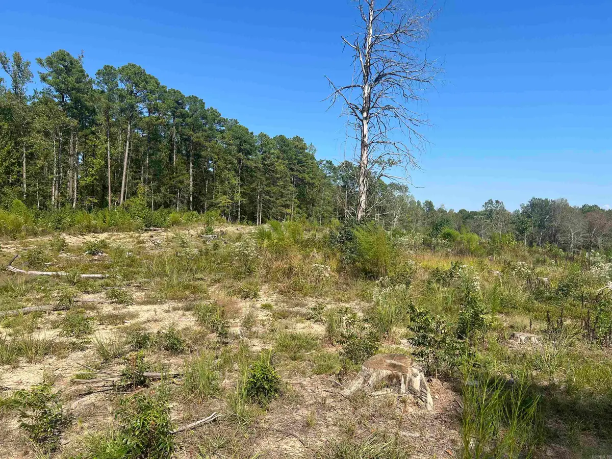 2367 Hwy 346, Amity, AR 71921 - #1