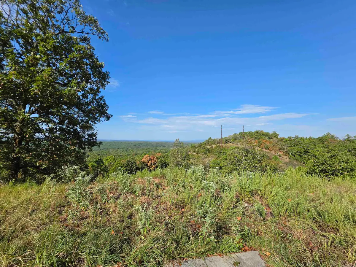 457 Polk Road 412, Mena, AR 71953 - #1