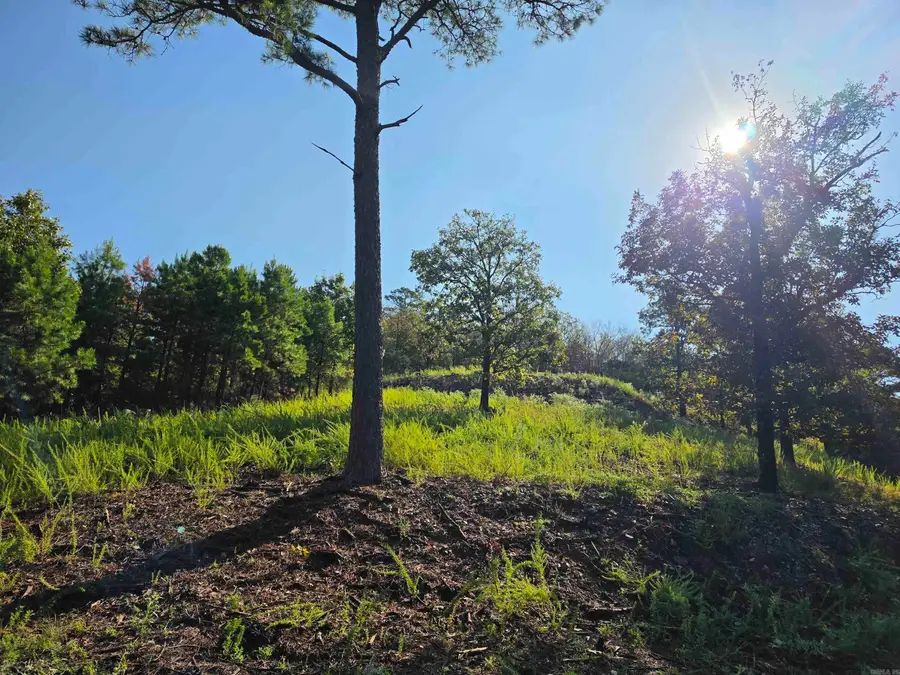 457 Polk Road 412, Mena, AR 71953 - #3