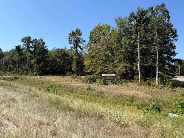 Tract 18 S Highway 167, Sheridan, AR 72150