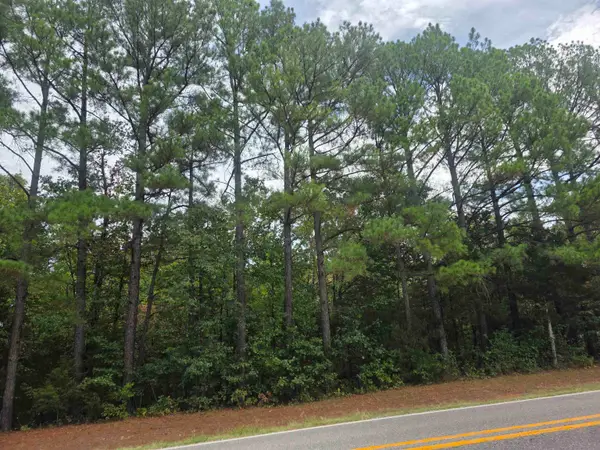 L2 B8 Iroqouis Drive, Cherokee Village, AR 72529