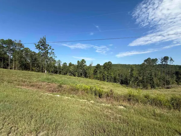TBD 84 Highway, Bismarck, AR 71923
