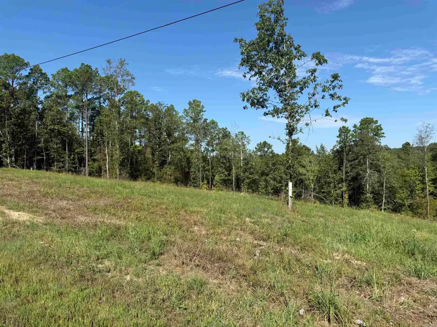 TBD 84 Highway, Valley, AR 71923 - #2