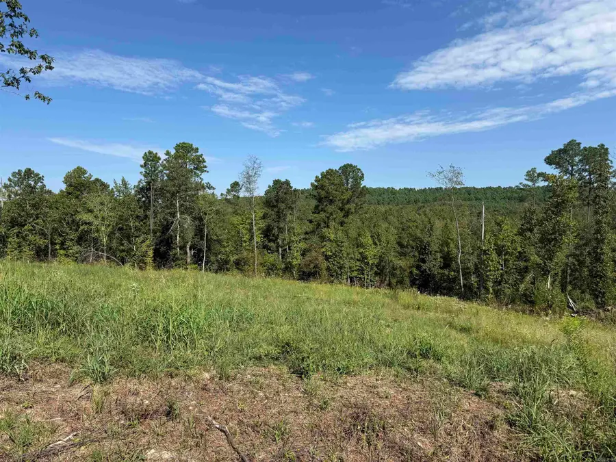 TBD 84 Highway, Valley, AR 71923 - #3