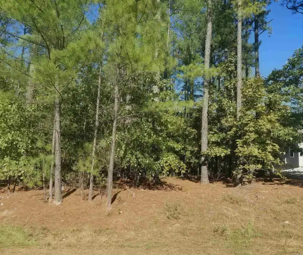 16 Vigoroso Lane, Hot Springs Village, AR 71909