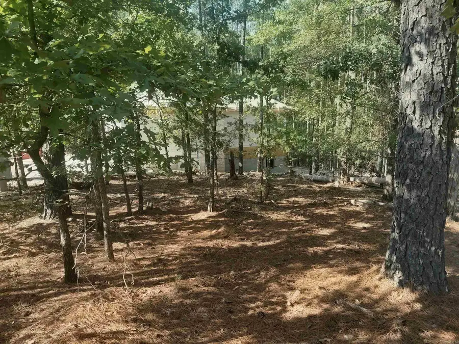 16 Vigoroso Lane, Hot Springs Village, AR 71909 - #2