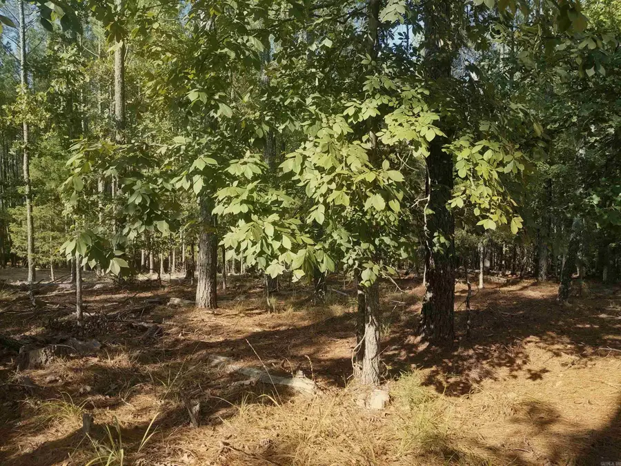 16 Vigoroso Lane, Hot Springs Village, AR 71909 - #3