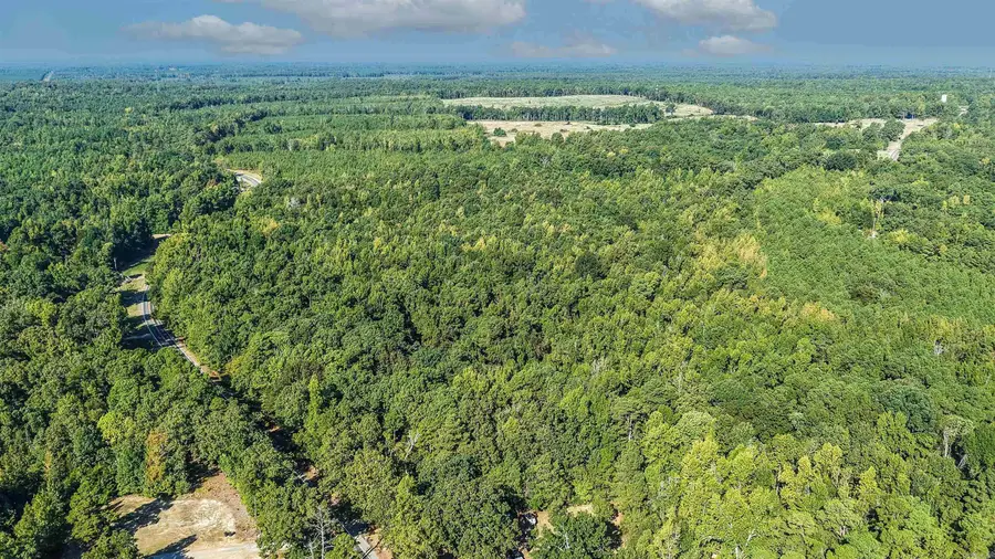 00 W 212 Highway, Star City, AR 71667 - #3