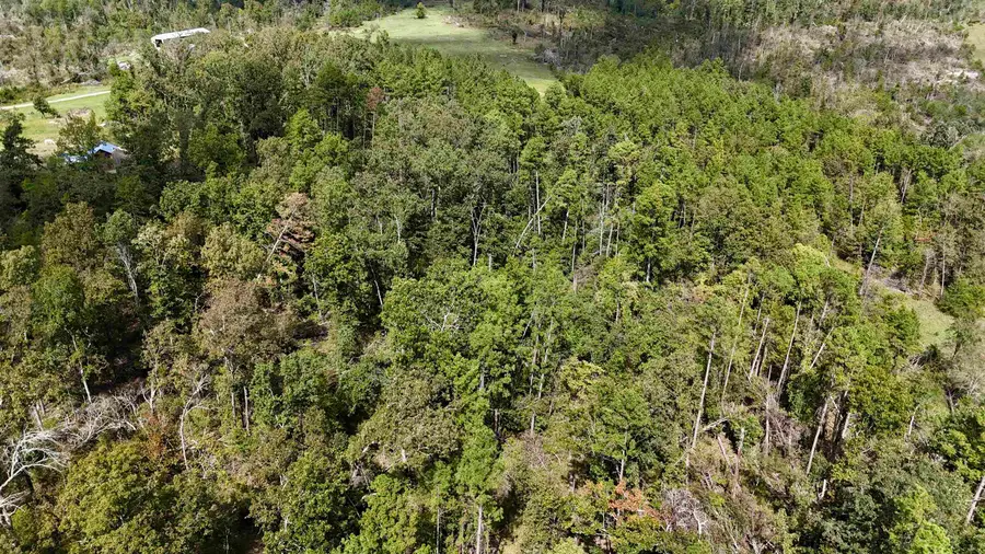 381 Preacher Road, Melbourne, AR 72556 - #3