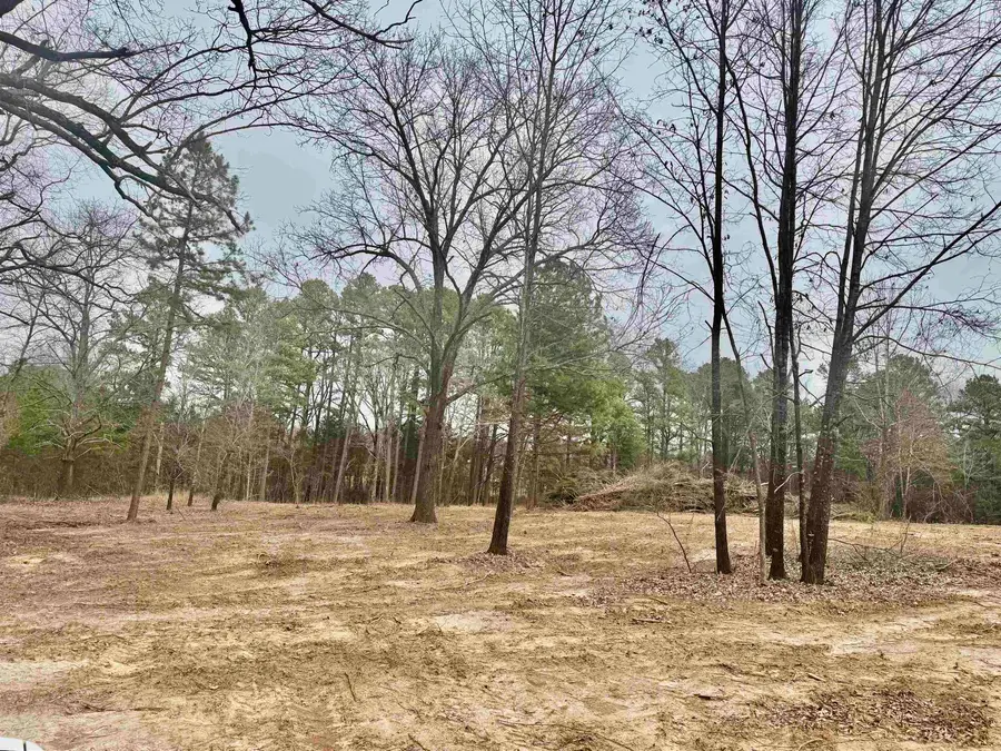 000 Winfree Lane, Melbourne, AR 72556 - #2