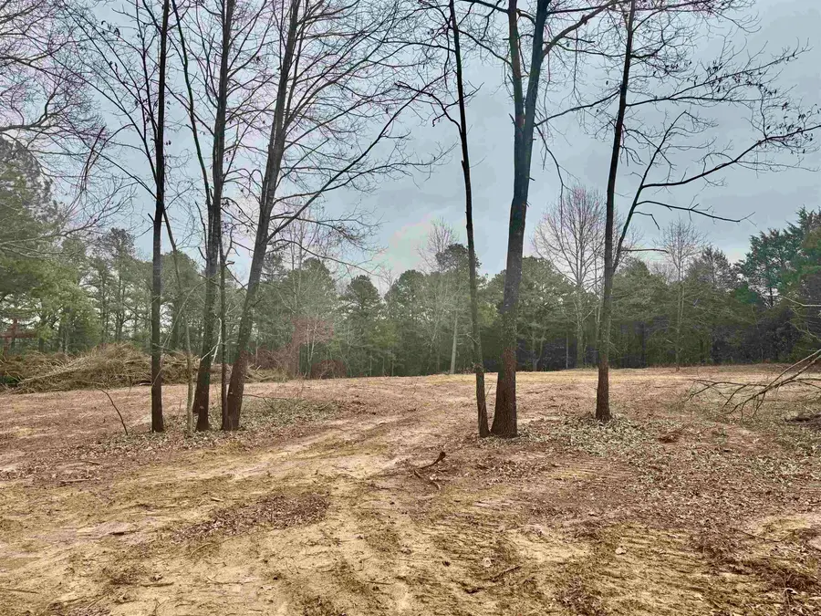 000 Winfree Lane, Melbourne, AR 72556 - #3