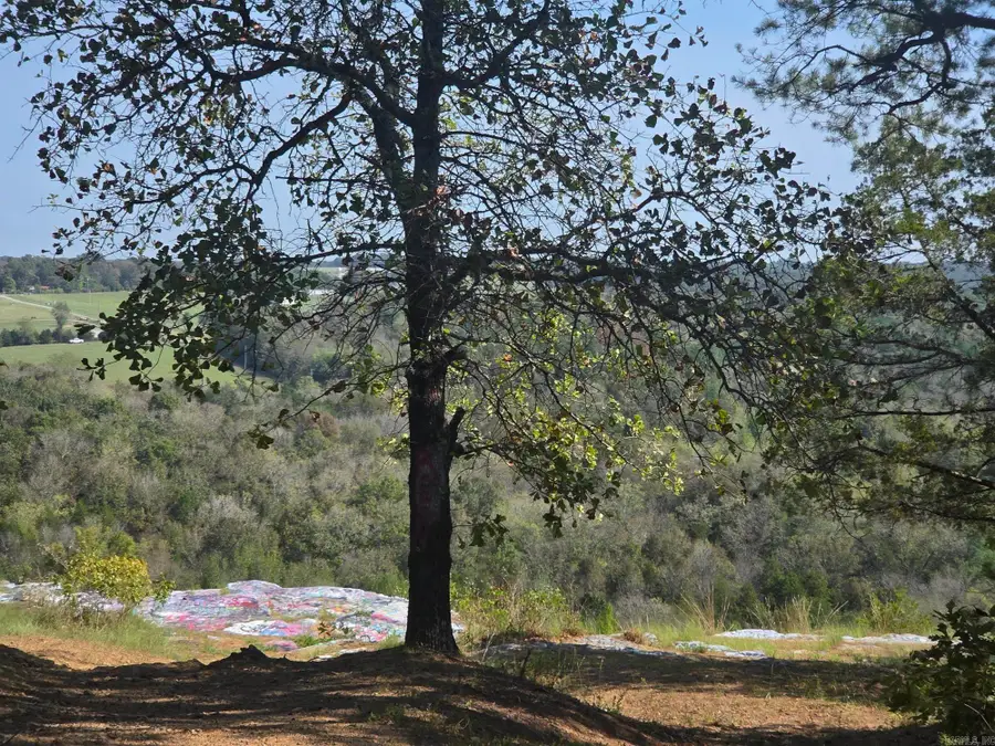 34.14 acres off Hwy 31 N, Romance, AR 72136 - #2