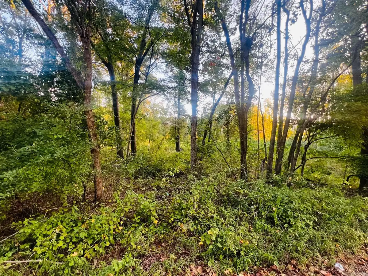 Tract 5 Sunset, Cabot, AR 72023 - #1
