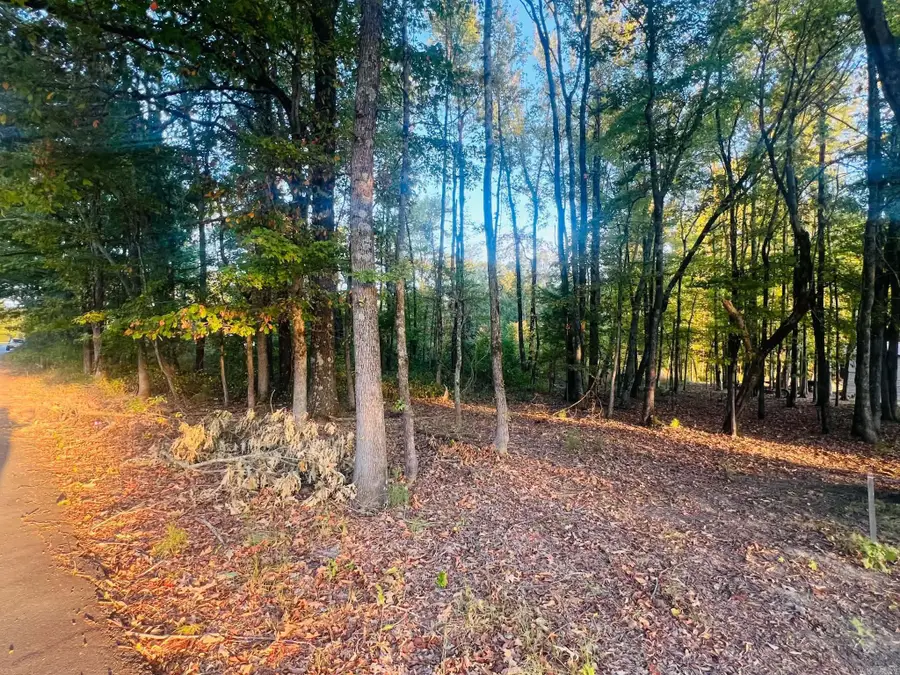 Tract 5 Sunset, Cabot, AR 72023 - #2