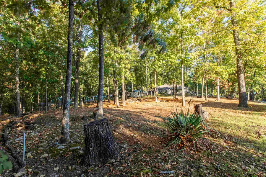 22 Wyandotte Drive, Cherokee Village, AR 72529 - #3