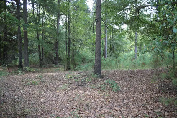 South Bingen Cir., Nashville, AR 71852