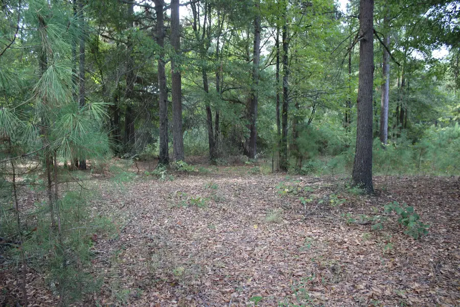 South Bingen Cir., Nashville, AR 71852 - #2