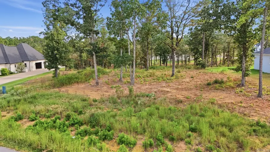 2965 Orchard View Drive, Conway, AR 72034 - #2