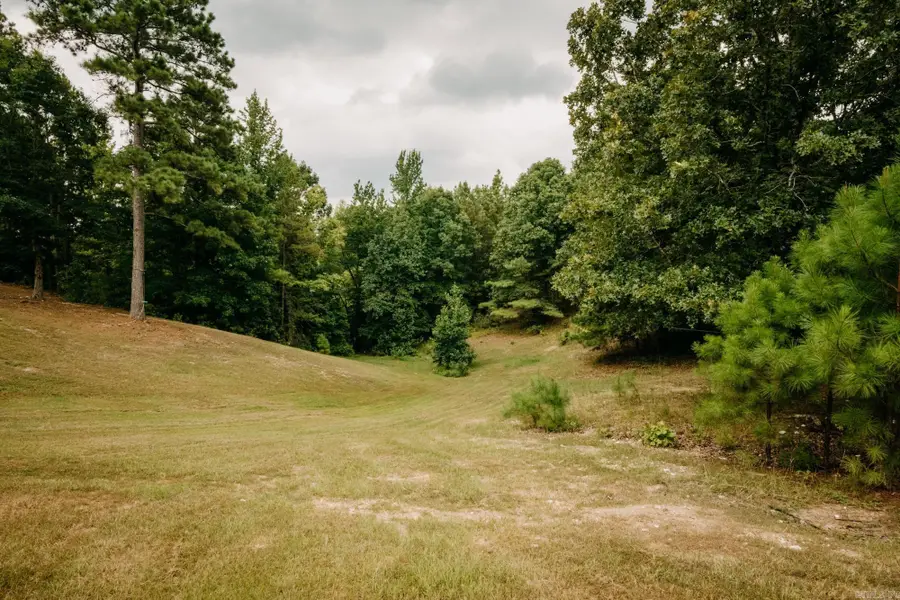 10002 Hwy 298, Benton, AR 72019 - #2
