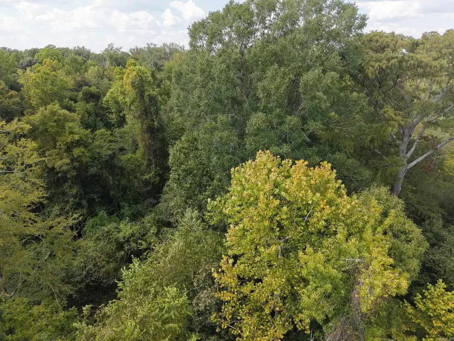 Address Withheld By Seller, Rison, AR 71665 - #3
