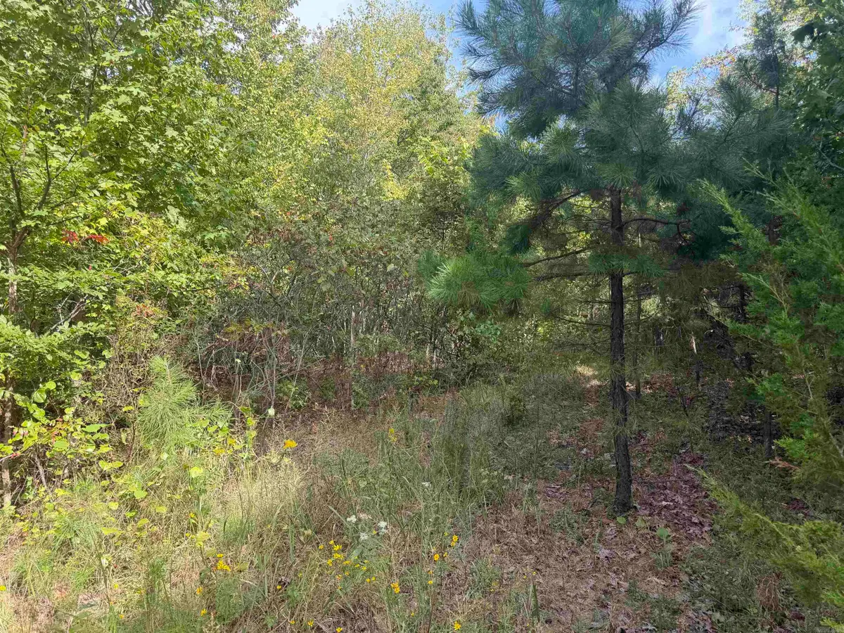 000 Rex Road, Alread, AR 72031 - #1