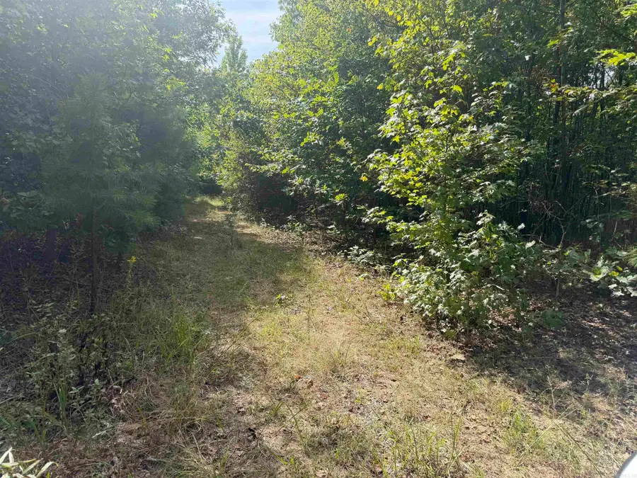 000 Rex Road, Alread, AR 72031 - #2