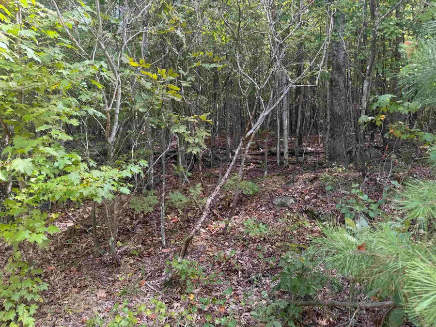 000 Rex Road, Alread, AR 72031 - #3