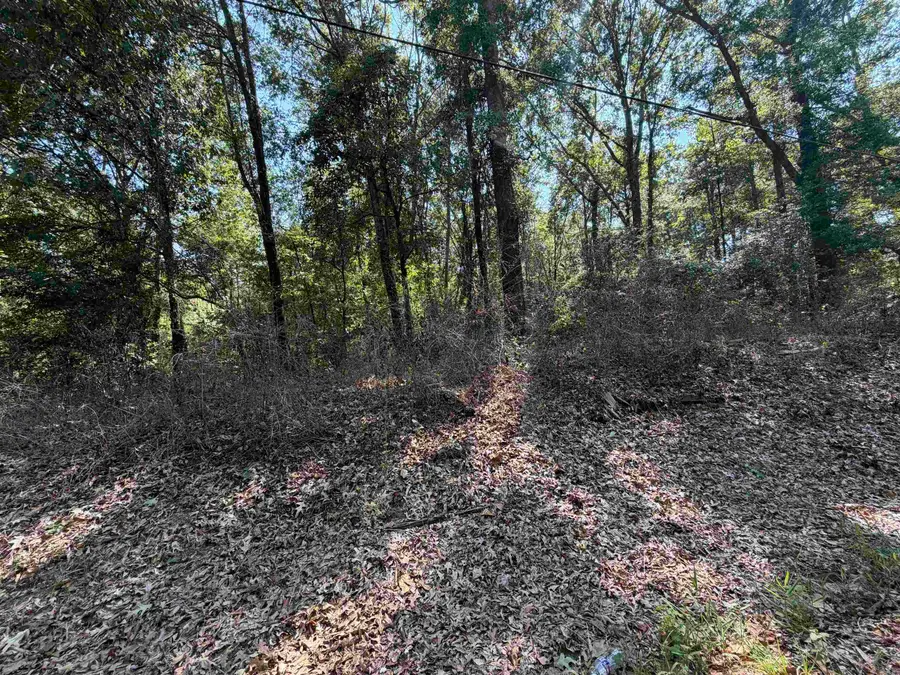 Shady Grove Road, El Dorado Township, AR 71730 - #2