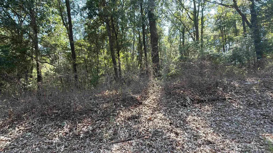 Shady Grove Road, El Dorado Township, AR 71730 - #3