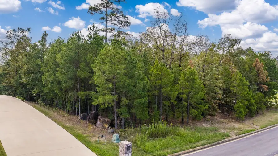 18020 Waterview Meadows Court, Roland, AR 72135 - #2