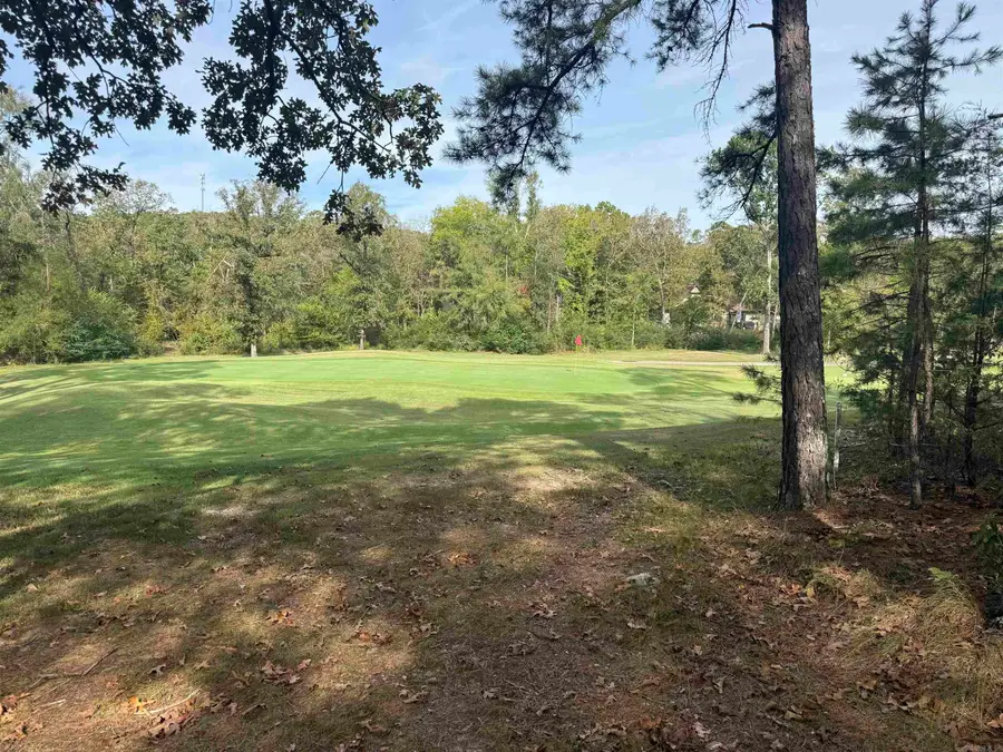 100 Ferdinand Way, Hot Springs Village, AR 71909 - #3