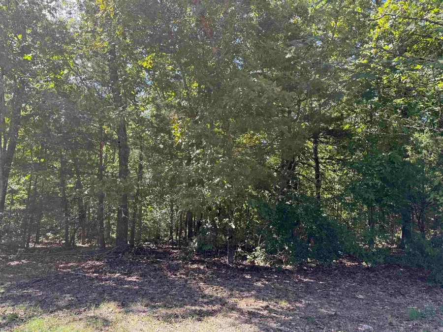 00 Hwy 87, Mountain View, AR 72560 - #3