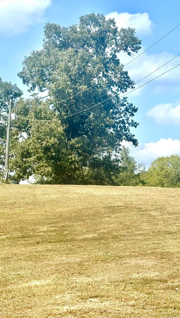 Tract 2 Steel Bridge Road, Benton, AR 72019