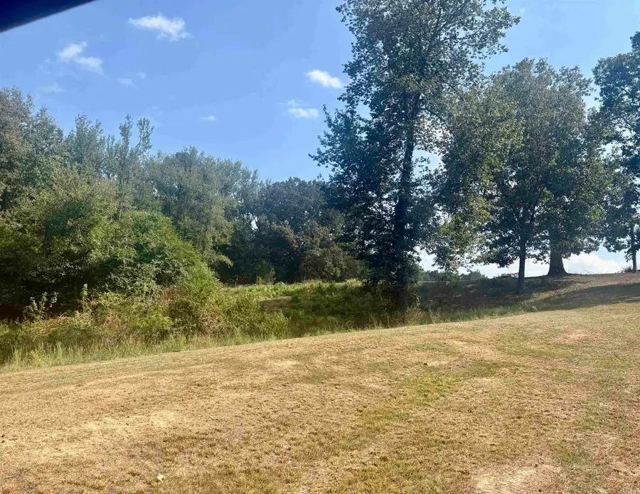 Tract 2 Steel Bridge Road, Benton, AR 72019 - #2