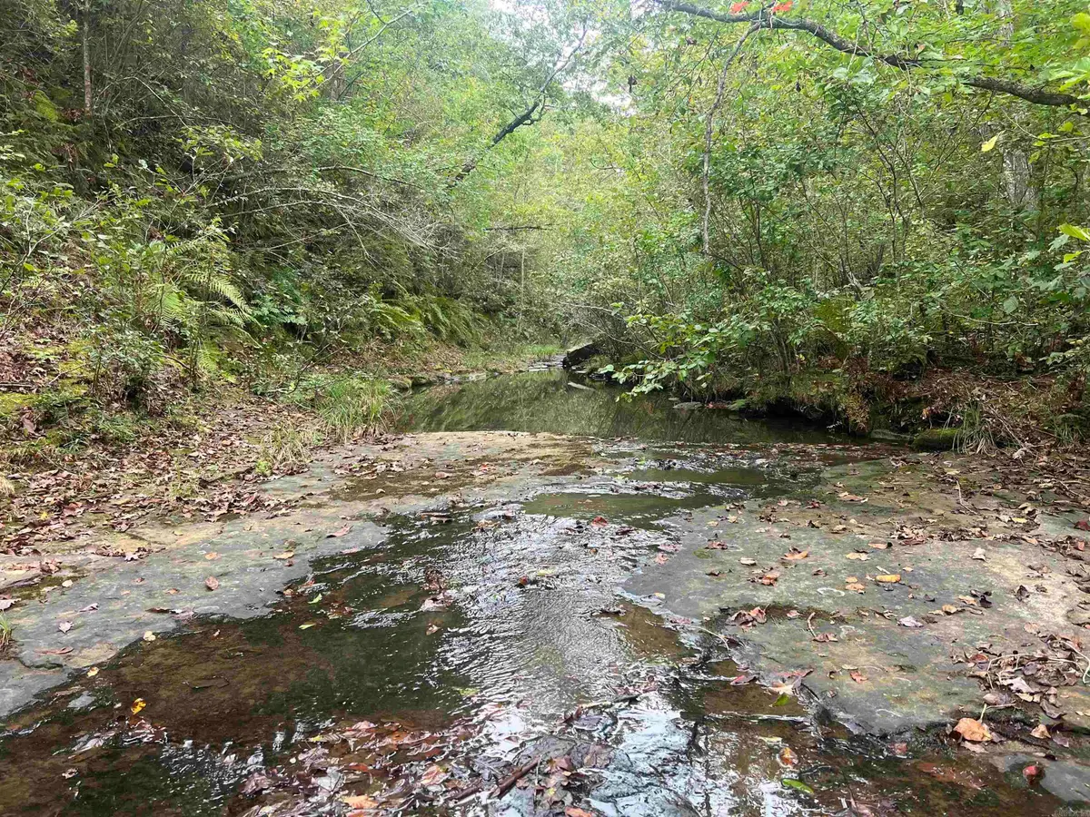 1688 Peyton Mountain Rd., Dennard, AR 72629 - #1