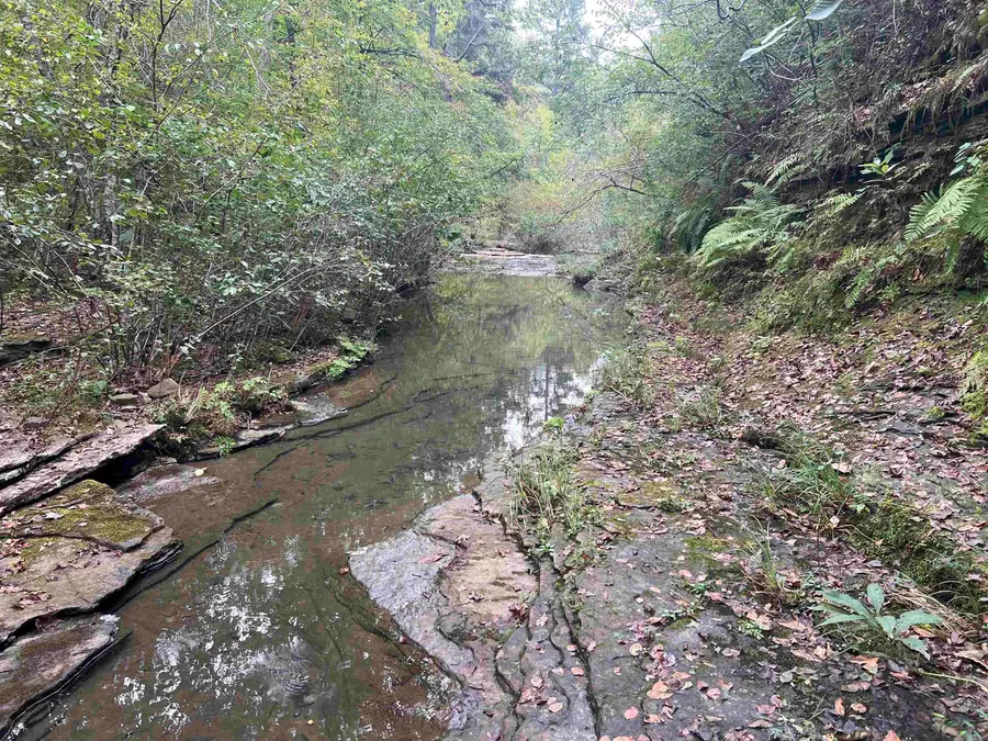 1688 Peyton Mountain Rd., Dennard, AR 72629 - #2
