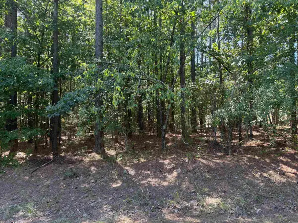 Lot 3 Panorama Drive, Hot Springs Village, AR 71909