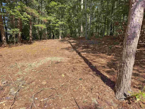 160 John A Trail, Mountain View, AR 72560
