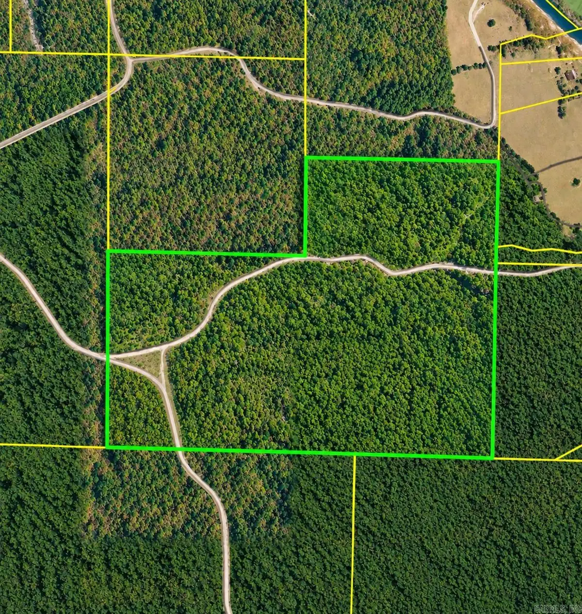 TBD (100) Manfred Road, Norman, AR 71960 - #1
