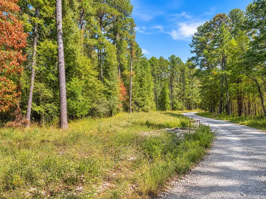 TBD (100) Manfred Road, Norman, AR 71960 - #2
