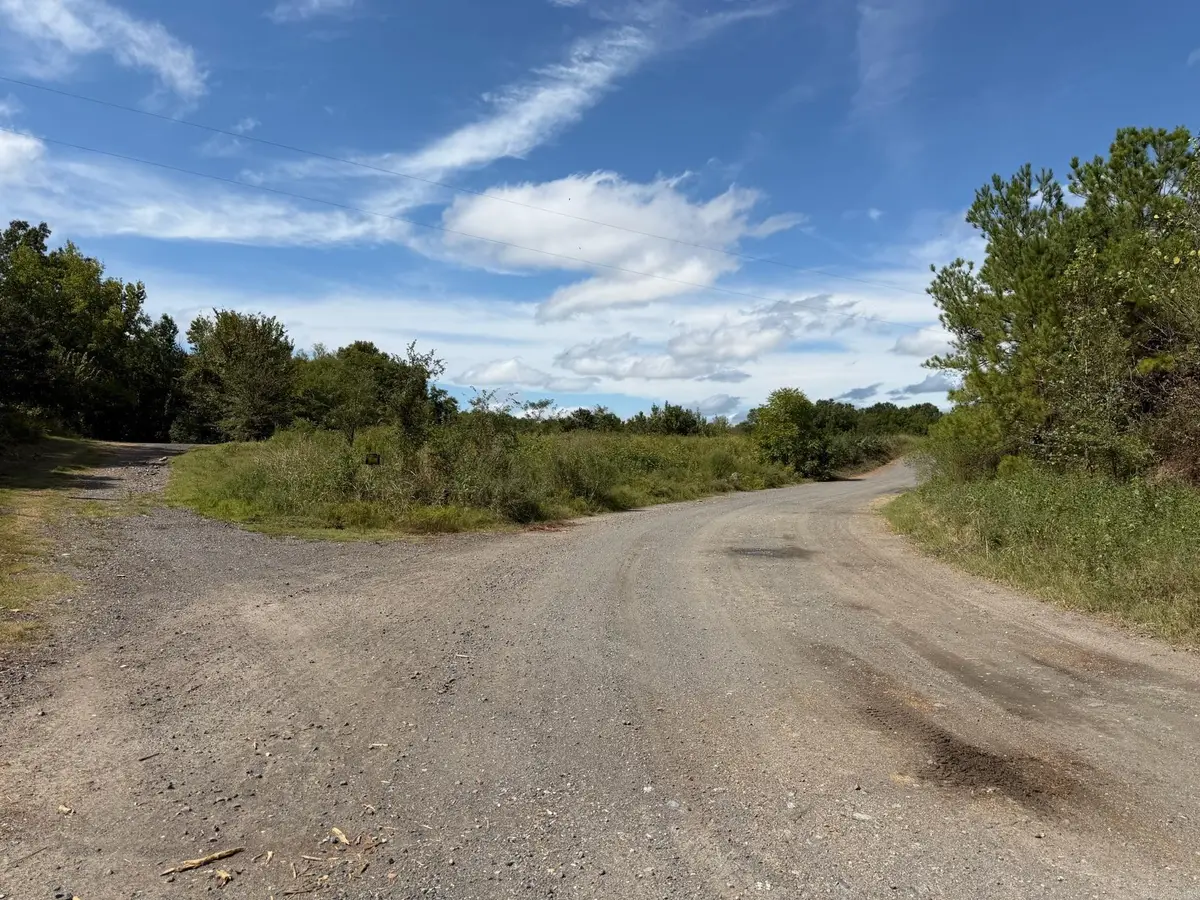Address Withheld By Seller, Roland, AR 72135 - #1