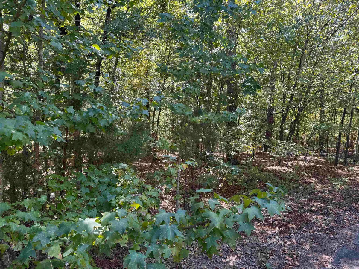 5 Ballobar Circle, Hot Springs Village, AR 71909 - #1