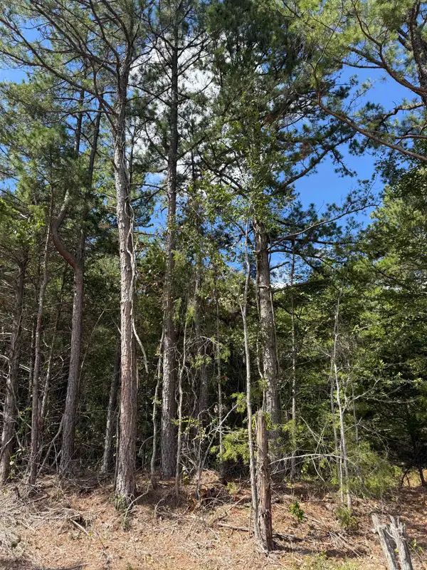 1A County Road 149, Elizabeth, AR 72531