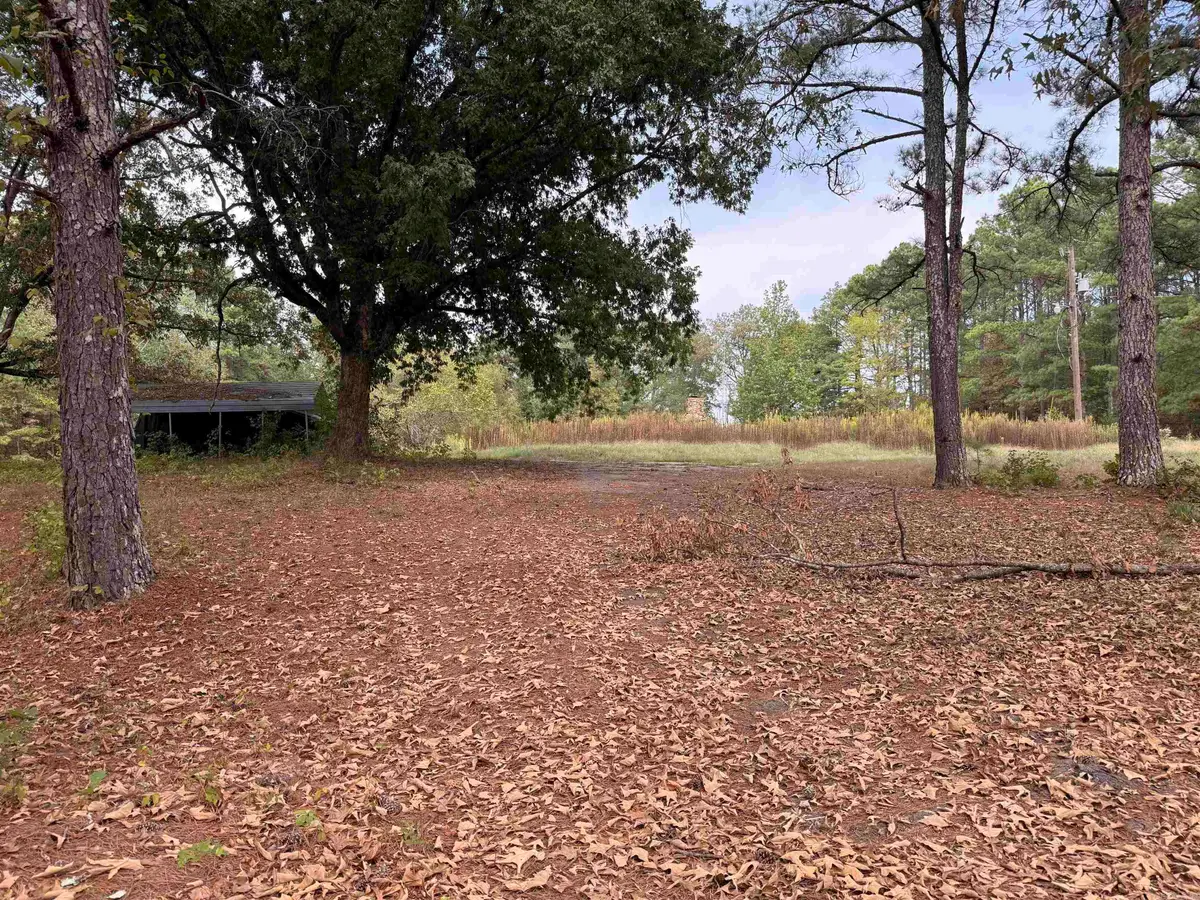 120 Barranger Road, De Roche, AR 71919 - #1