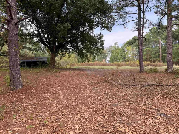 120 Barranger Road, Bismarck, AR 71919