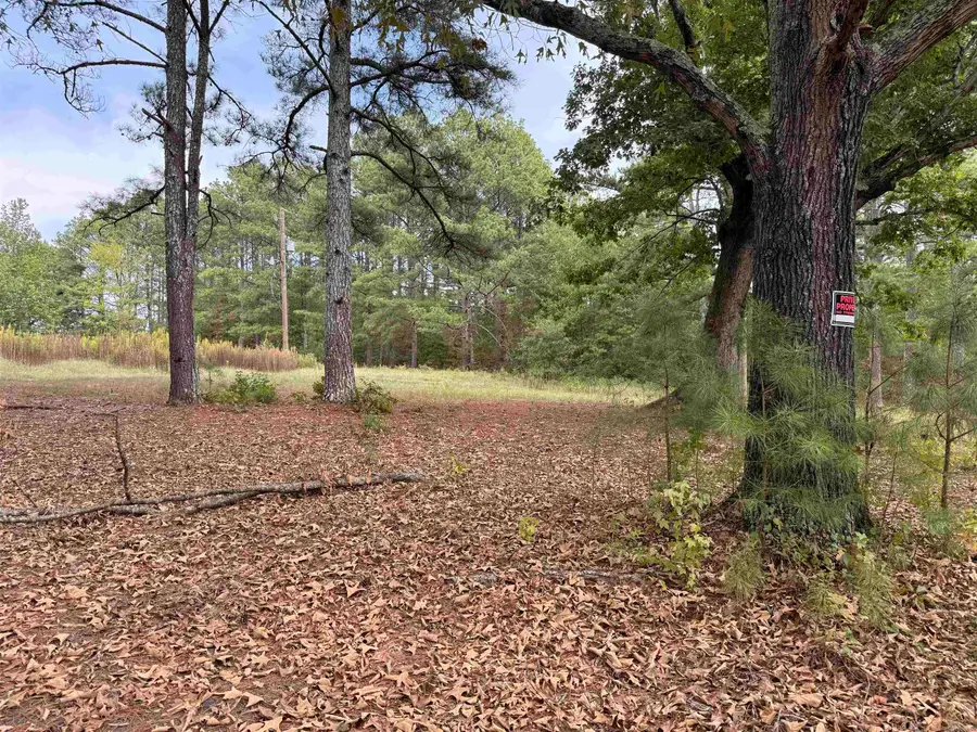 120 Barranger Road, De Roche, AR 71919 - #2