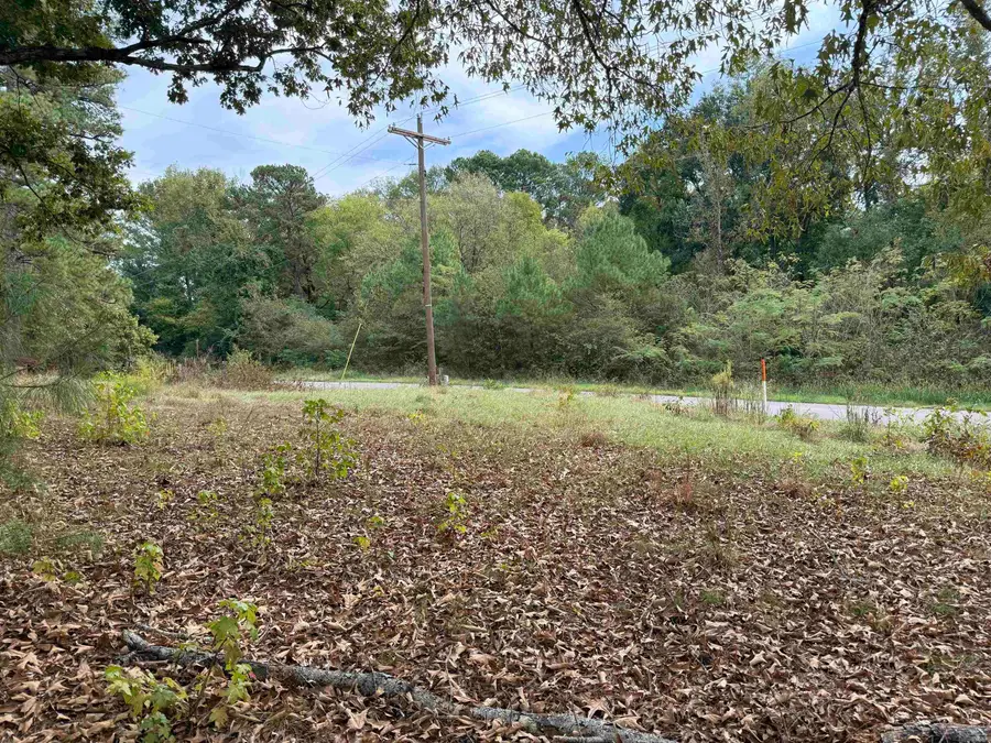 120 Barranger Road, De Roche, AR 71919 - #3